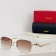 Cartier ct0120 Glasses a02_1009230