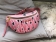 5BL009 28X16cm SF 2色 1_936115