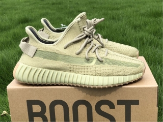 Authentic AD YB 350 V2
