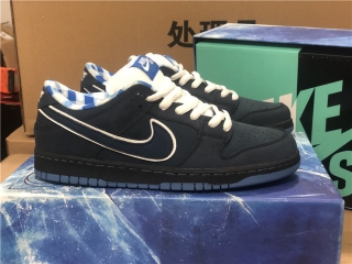 Authentic Nike SB Dunk Low