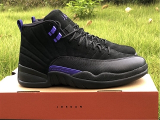 Authentic Air Jordan 12 “Dark Concord”