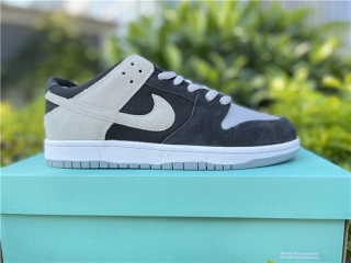 Authentic Nike SB ZOOM Pro