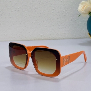 Hermes Glasses 0714 (31)_5256192
