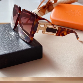 Hermes Glasses 0714 (39)_5256201