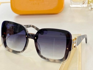 Hermes Glasses 0714 (59)_5256221