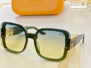 Hermes Glasses 0714 (60)_5256222