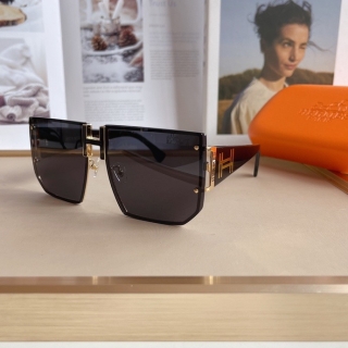 Hermes Glasses 0714 (64)_5256226