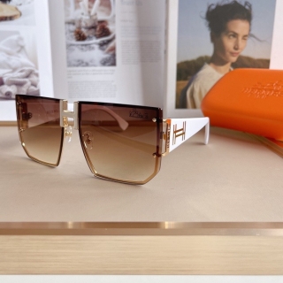 Hermes Glasses 0714 (70)_5256232