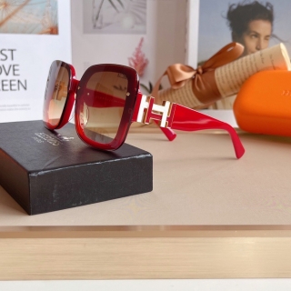 Hermes Glasses 0714 (88)_5256249