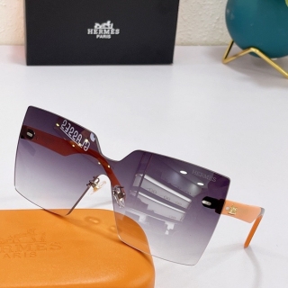 Hermes Glasses 0714 (101)_5256264