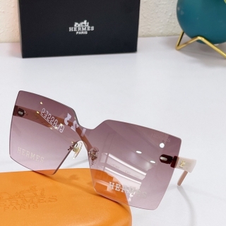 Hermes Glasses 0714 (105)_5256268
