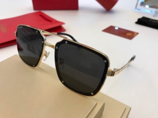 Cartier Glasses  (244)_5301207