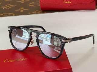 Cartier Glasses  (424)_5301390