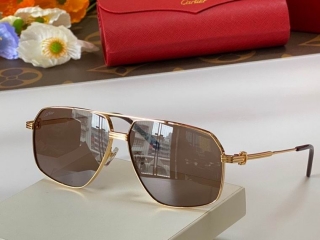 Cartier Glasses  (540)_5301505