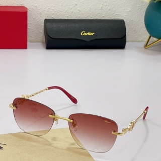 Cartier Glasses  (548)_5301512