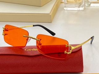 Cartier glasses (27)_5101899