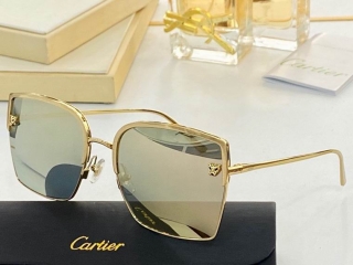 Cartier Glasses 061608 (3)_5194071