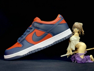 Nike SB Dunk Men Shoes ZGYZ - 051