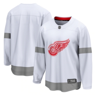 Men's Fanatics Branded White Detroit Red Wings 2020-21 Special Edition Breakaway Jersey