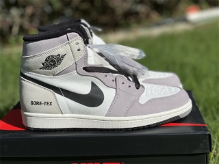 Authentic Air Jordan 1 Element&Gore-Tex “Light Bone”