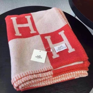 Hermes Blanket  (7)_5396479