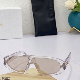 Dior Glasses (97)_5566014
