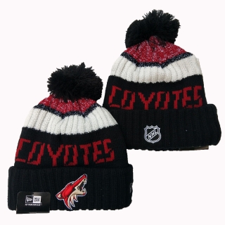 NHL Beanies XY 022