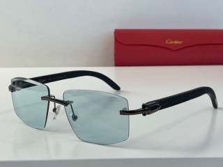 Cartier Glasses (17)_5598787