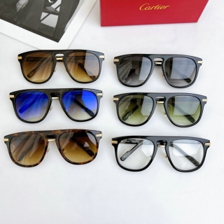 Cartier Glasses (19)_5598789