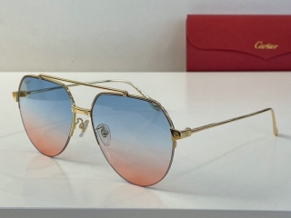 Cartier Glasses (35)_5598792