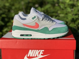 Authentic Patta x Nike Air Max 1