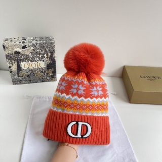 Dior cap (48)_5639069