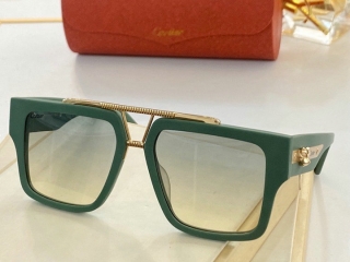 Catier Glasses  (4)_315708
