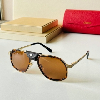 Catier Glasses  (8)_315729