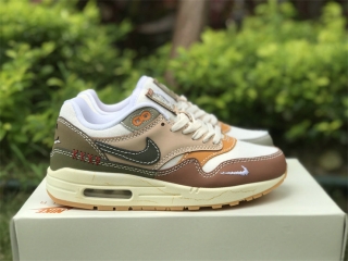 Nike Air Max 1 “Premium” Wabi-Sabi