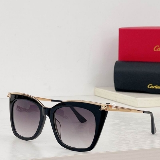Cartier ct0030 Glasses01_1009225 - 副本