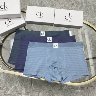 CK boxer L-3XL 010206 (6)_935971