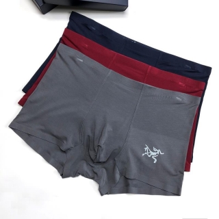 Arcteryx boxer L-3XL 50 (7)_1068236