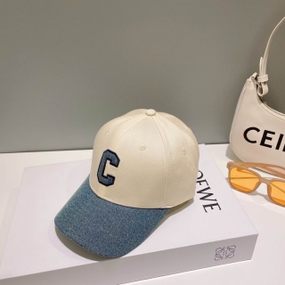 Celine Cap dxn (12)_1180698