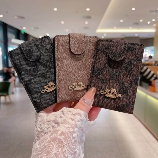 Coach card bag 91 (7)_1421848