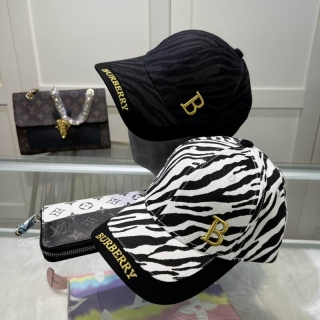 Burberry Cap 33 (16)_1429726