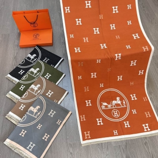 Hermes scarf E20 (1)_1428212