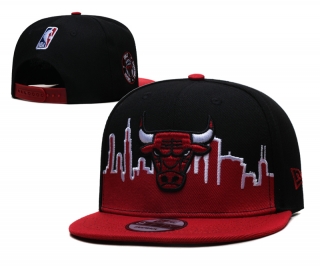 NBA Chicago Bulls Adjustable Hat TX - 1720