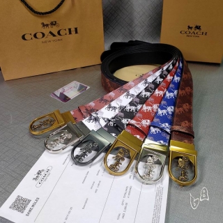 Coach belt 38mmX80-125cm lb (20)_1503365