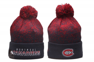 NHL Beanies YP 0360