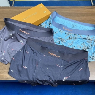 LV boxer L-3XL 63 (5)_1973429