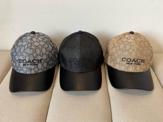 Coach cap dx (2)_2778132