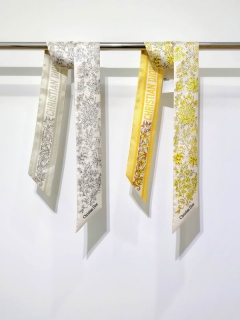 Dior silk ribbon 6X105cm E02 (1)_2768497