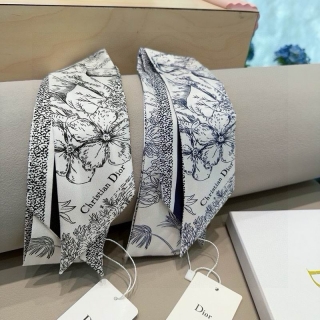 Dior silk ribbon hm (115)_2767908