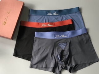 Loro Piana boxer L-4XL 11 (4)_2824569